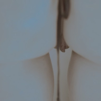 Gegharvestakan Nudes