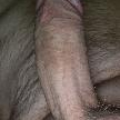Sirun txaner 8