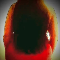 Fetvulori