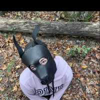 Puppy khaghal