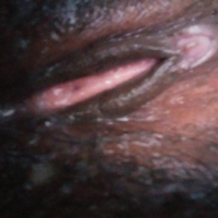 Katnaguyn erb tats