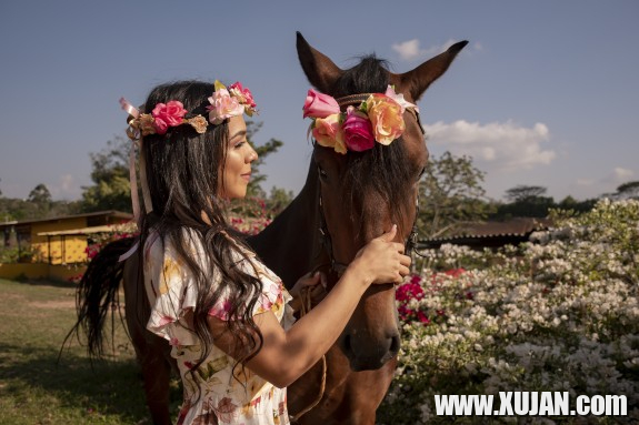dziu sirahar - Photo #3125620