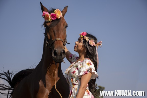 dziu sirahar - Photo #3125627