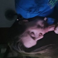 kliry berany