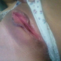 SereaCute dzer shuny