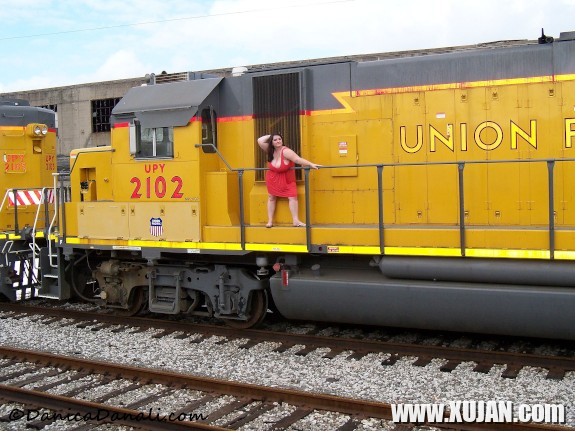 Choochoo chubby - Photo #3141963