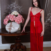 A pretty Vanessa Angel takes off a red negligee