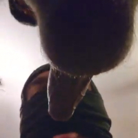 Sucking Dick 🥰 I’m hosting in LA :)