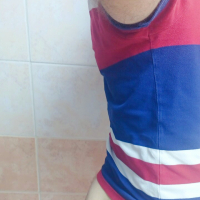 Arabfag ass