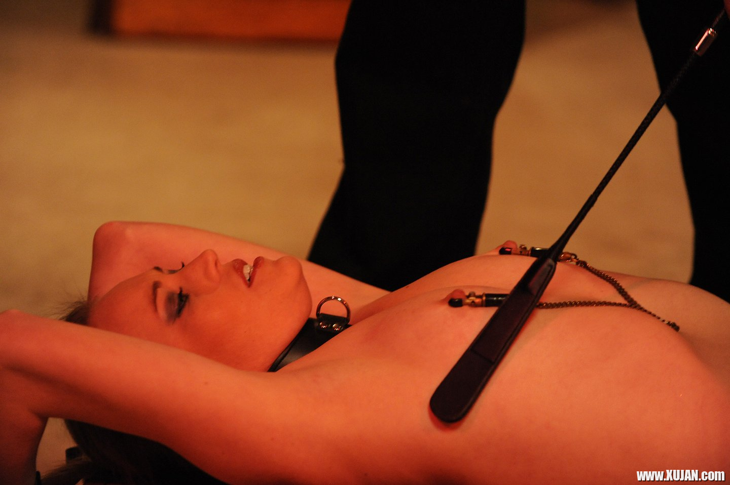 Kinky Daisy Layne gets tied up in Bondage Device - Photo #3196346