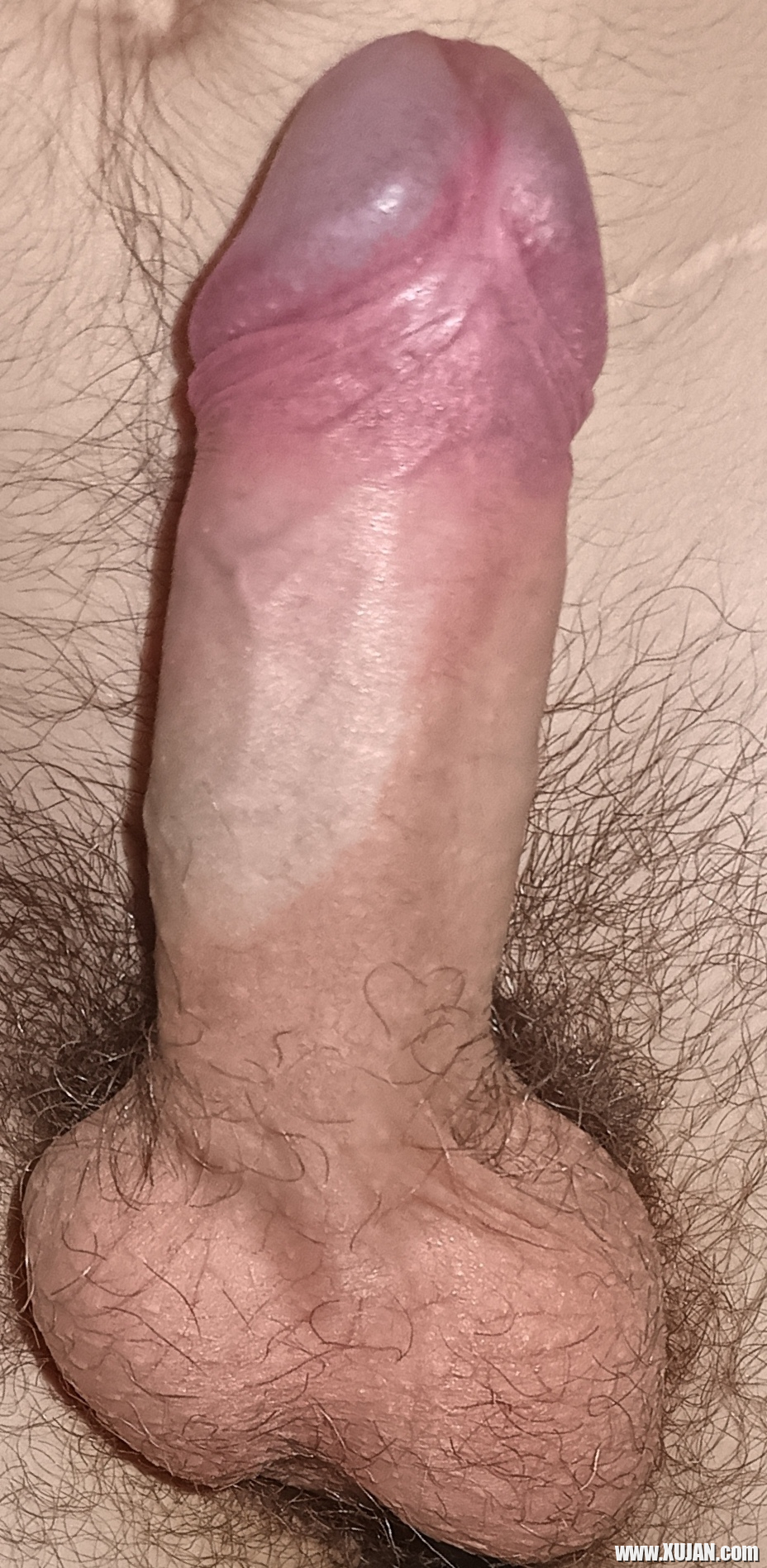 18 tarekani klir - Photo #3217107