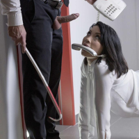 Stunning Rina Ellis gets fucked hard at the Office