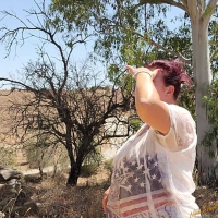 Horny BBW Nikki Holland sucking on a hard cock outdoors