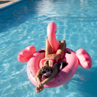 Monika Foqsy karmir bikiniov loghum e vardaguyn flamingoyov