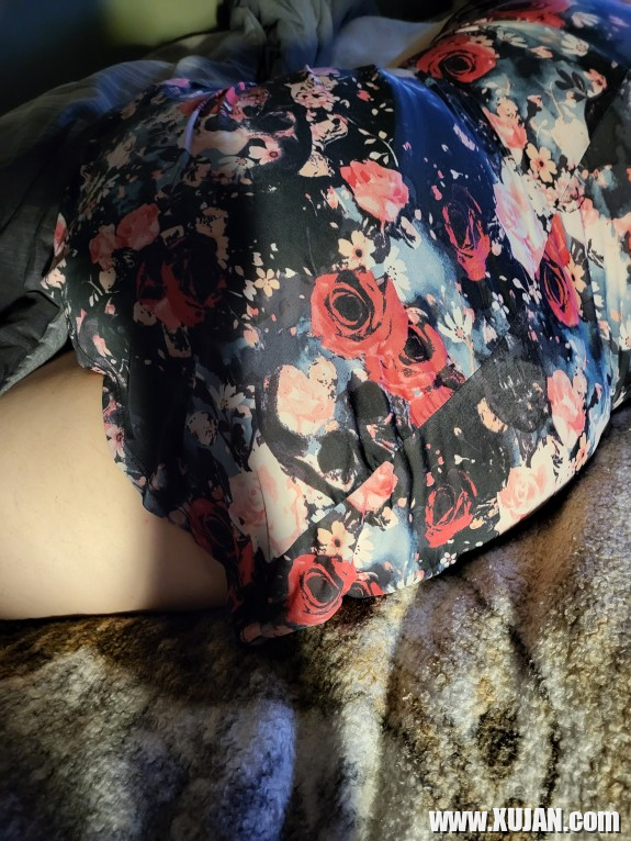 Sirir knojy - Photo #3322570