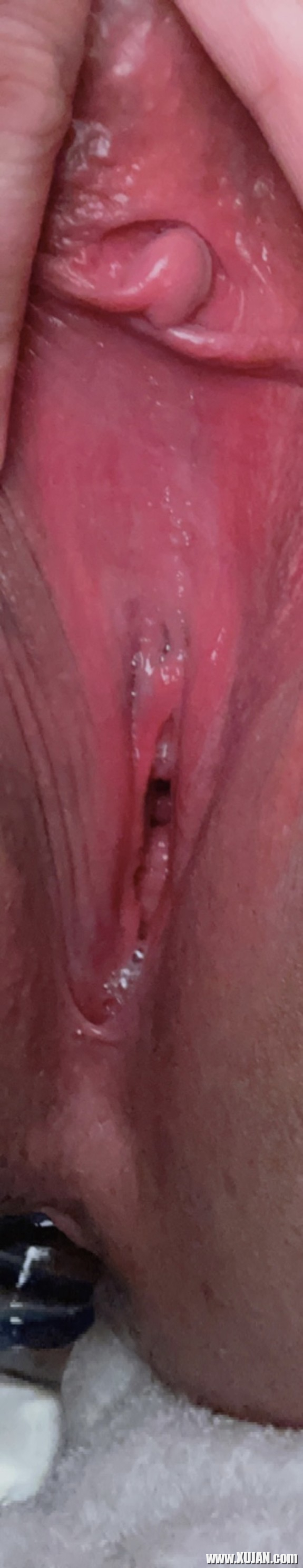 Pretty Spread Pink pucy het Anal Dildo - Photo #3326037