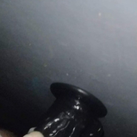 Dildoyi nertapantsum