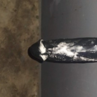 Dildoyi nertapantsum