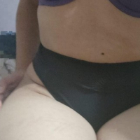 Konqery musulos latina
