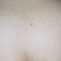 Sirvats Gifshearts