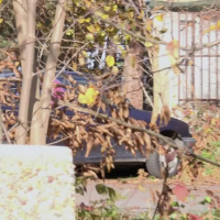 Lucy Shy in black Boots and Skirt peeing outdoors