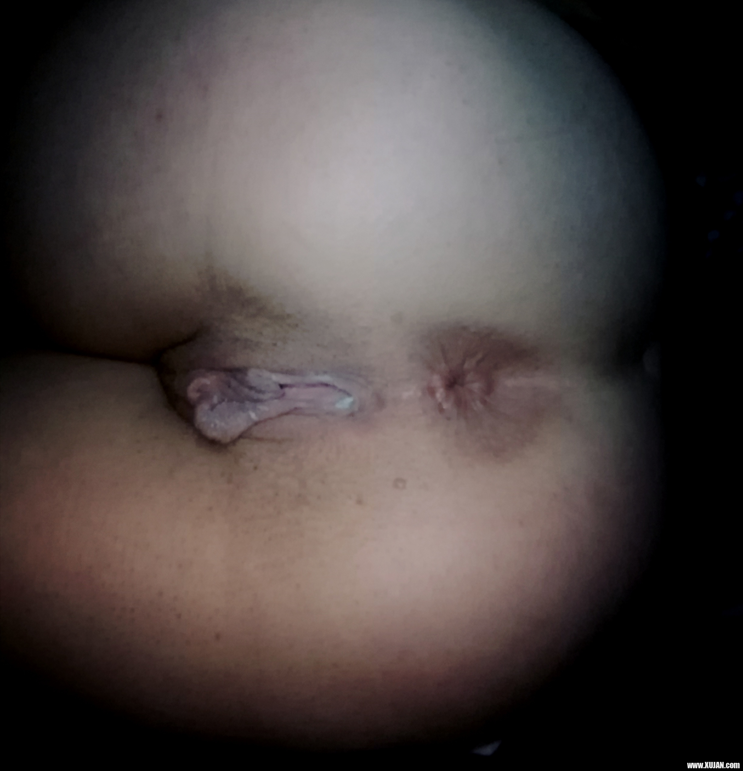 Ellapussy