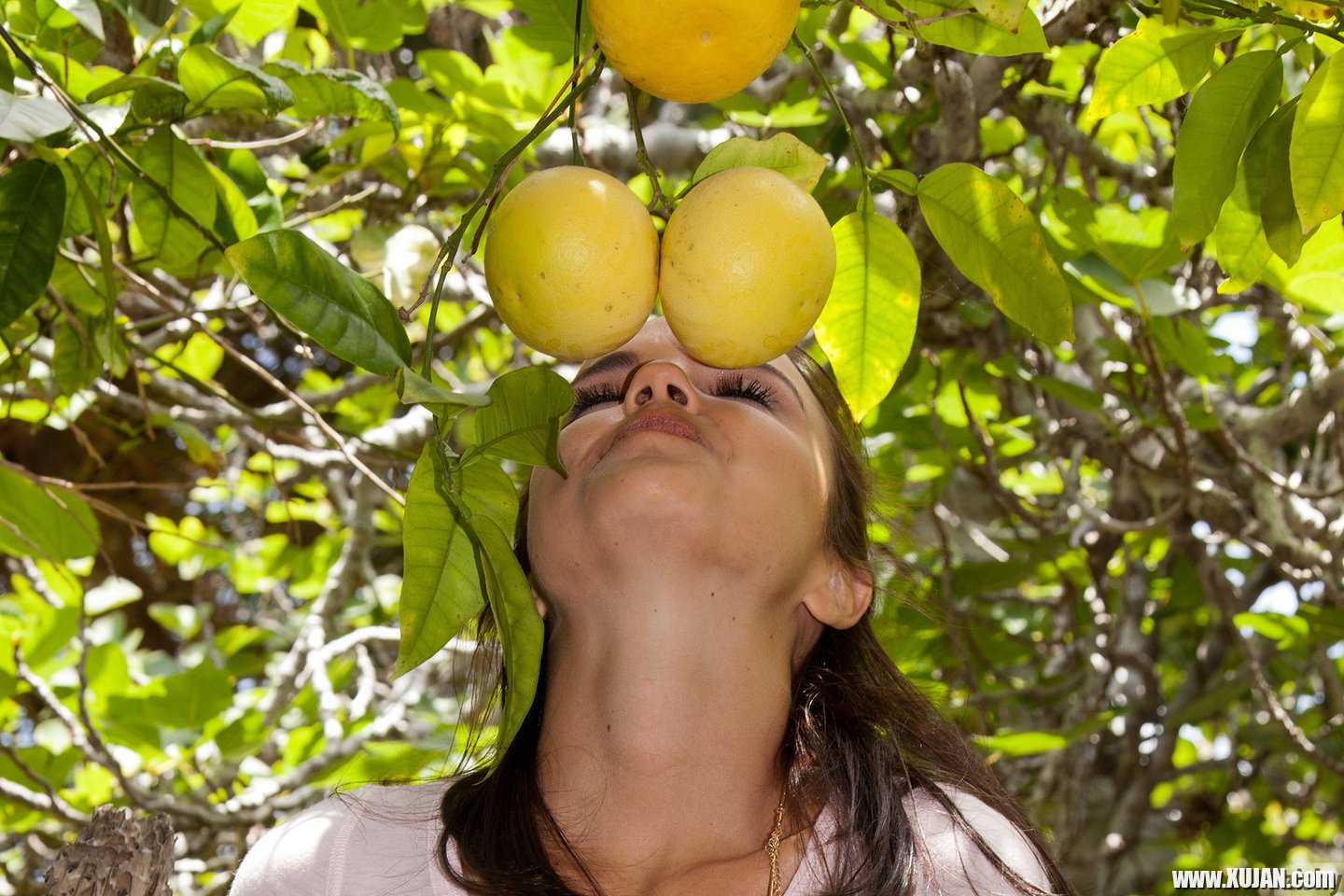 Dillion Harper flashing her Panties under a Tree - Photo #3388303