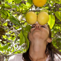 Dillion Harper flashing her Panties under a Tree