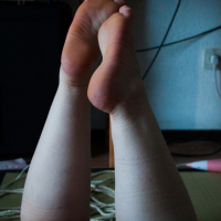 Libevolve 01