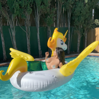 Briana Lee shows big Tits in Mermaid Suit in Pool