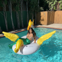Briana Lee shows big Tits in Mermaid Suit in Pool