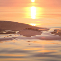 Sandra Shine shows a wet naked Body in the Ocean