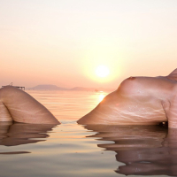 Sandra Shine shows a wet naked Body in the Ocean