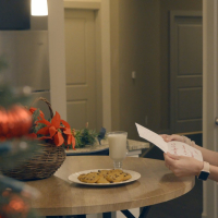 Cherie Deville teachs Alex Blake to fuck Santa