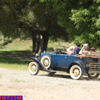 Lovely MILFs love driving in an old car by the lake