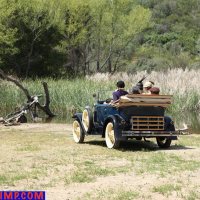 Lovely MILFs love driving in an old car by the lake