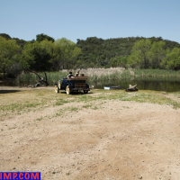 Lovely MILFs love driving in an old car by the lake