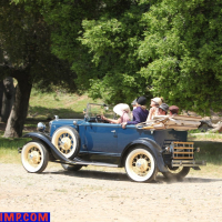 Lovely MILFs love driving in an old car by the lake