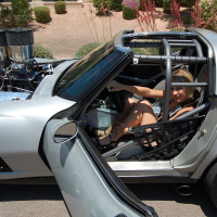 Sexy Porn Star Amy Brooke posing on a Corvette