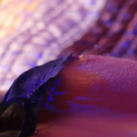 Kinky babe Natalie K enjoys fingering her tight cunt