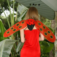 Pictures of Skinny Mindy dressed as a pretty lady bug
