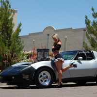 Naughty blonde chick Amy Brooke strips naked on a sports car