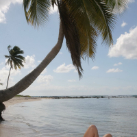 Liz Valery posing nude on a palm tree on the beach
