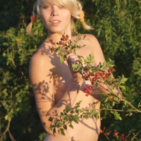 Pictures of teen hottie Alice Wonderbang naked in the woods