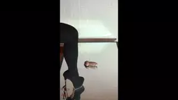 seqsual jakhjakhich tikin