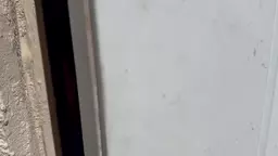cvbnv bnxn