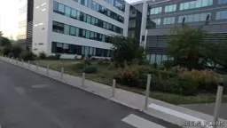 tsetsvats pornik