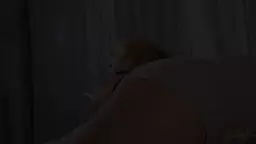 Ryanse Haily Jiggly hetuyqy