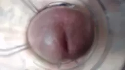 nerqin flhetuyqlayt Creampie