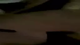 haykakan